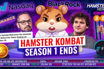 FTX CEO Appeals, $230M Bitcoin Theft, and Hamster Kombat Airdrop Results ⚡️ Hamster News Recap